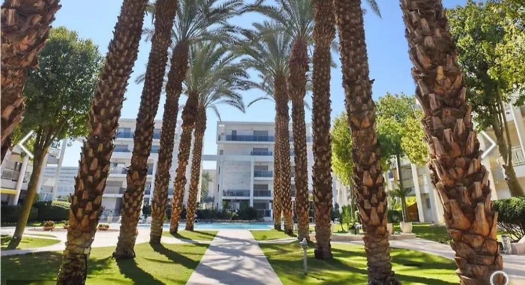 Luxury Queen Royal Park Eilat Exteriör bild